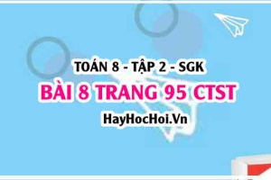 Bài 8 trang 95 Toán 8 Tập 2 Chân trời sáng tạo